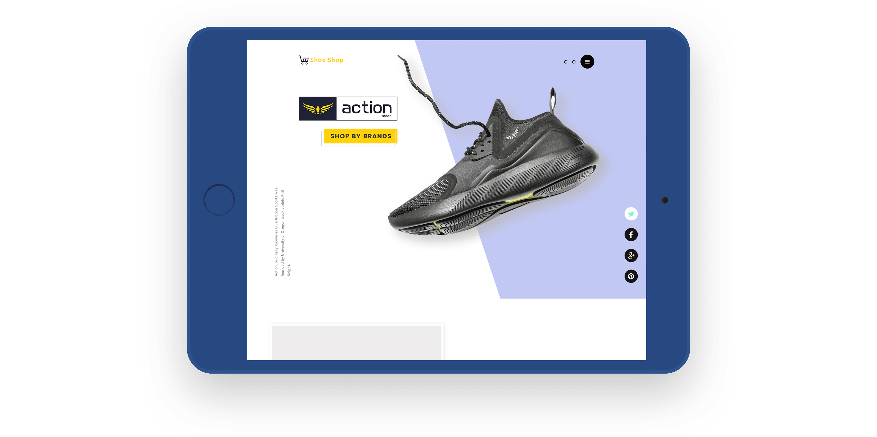 Ipad preview
