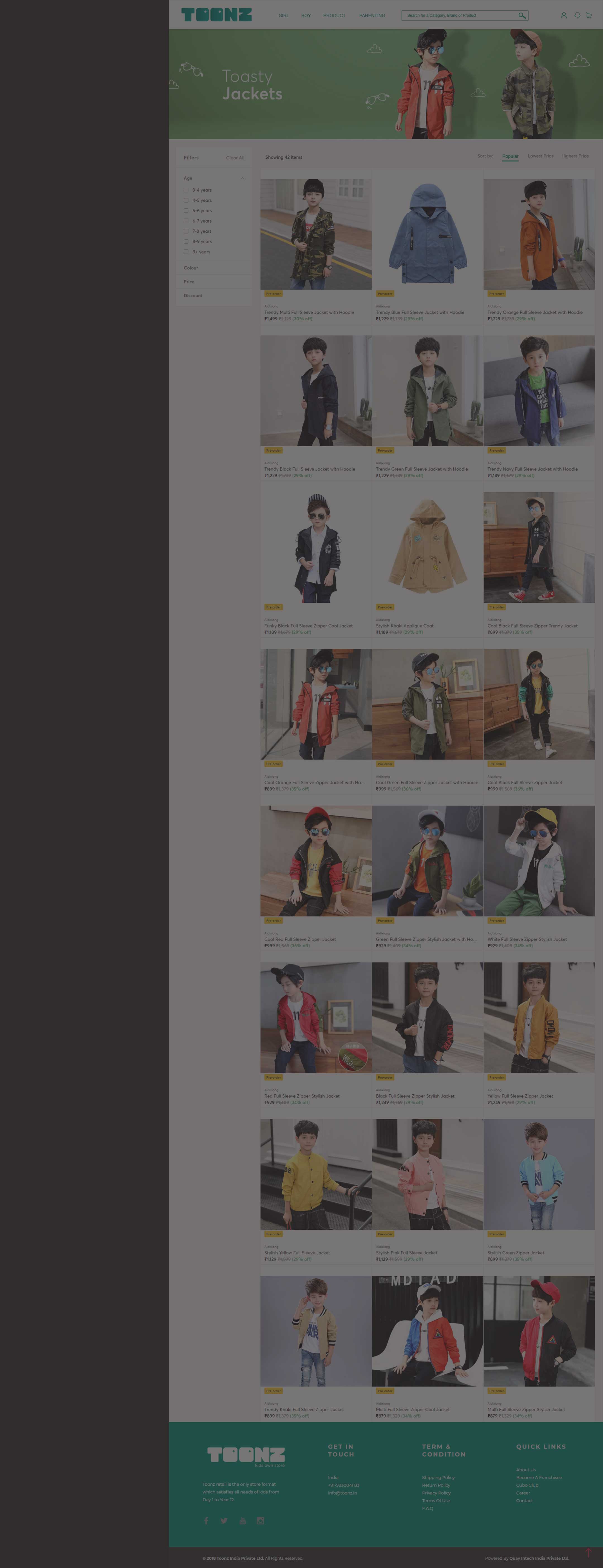 Website preview back